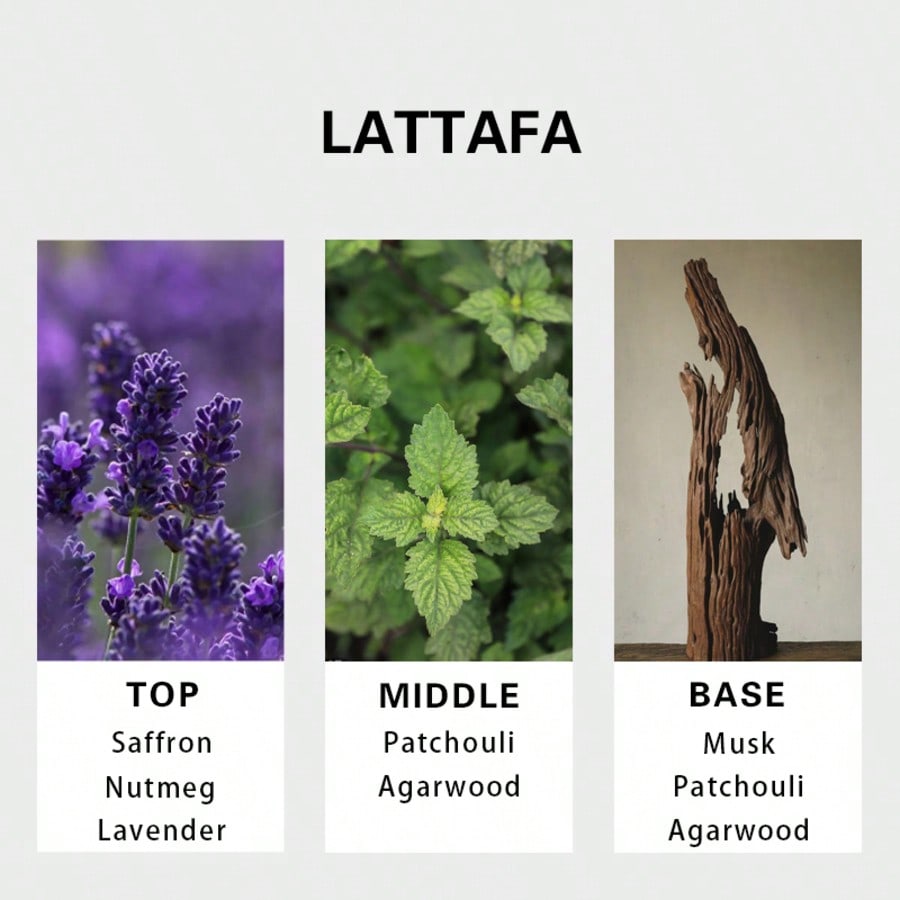 Lattafa Badee Al Oud For Glory - Fragrance And Perfume บทวิจารณ์และราคา