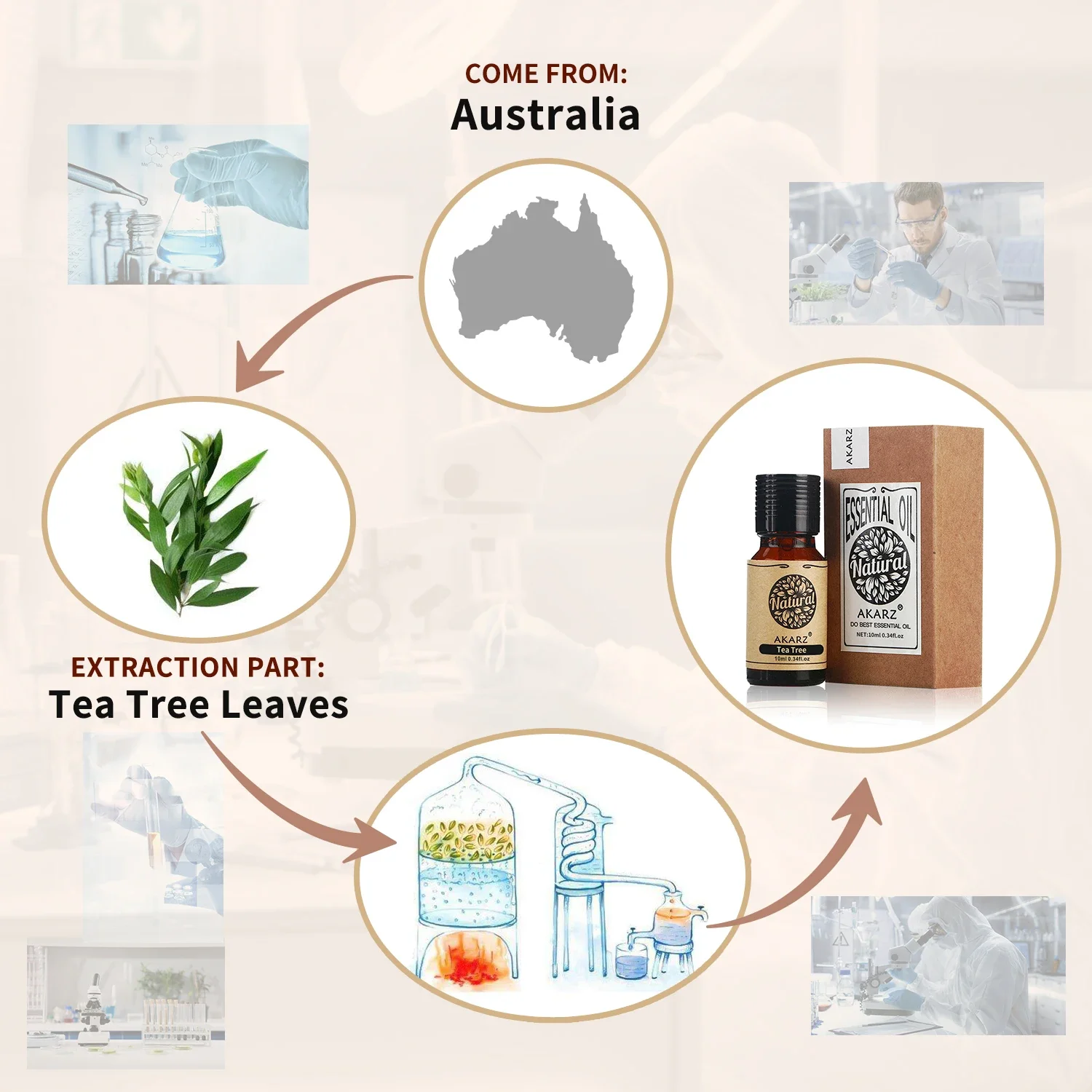 AKARZ น้ํามันหอมระเหยโรสแมรี่ธ - Perfume Fragrance Oils For Candles บทวิจารณ์และราคา